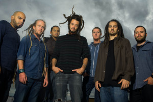 soja